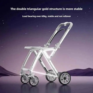 Cozywyn Lightweight 2-Way Baby Stroller