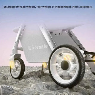 Cozywyn Lightweight 2-Way Baby Stroller