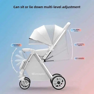 Cozywyn Lightweight 2-Way Baby Stroller