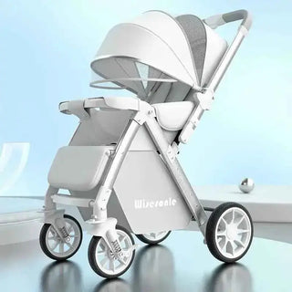 Cozywyn Lightweight 2-Way Baby Stroller